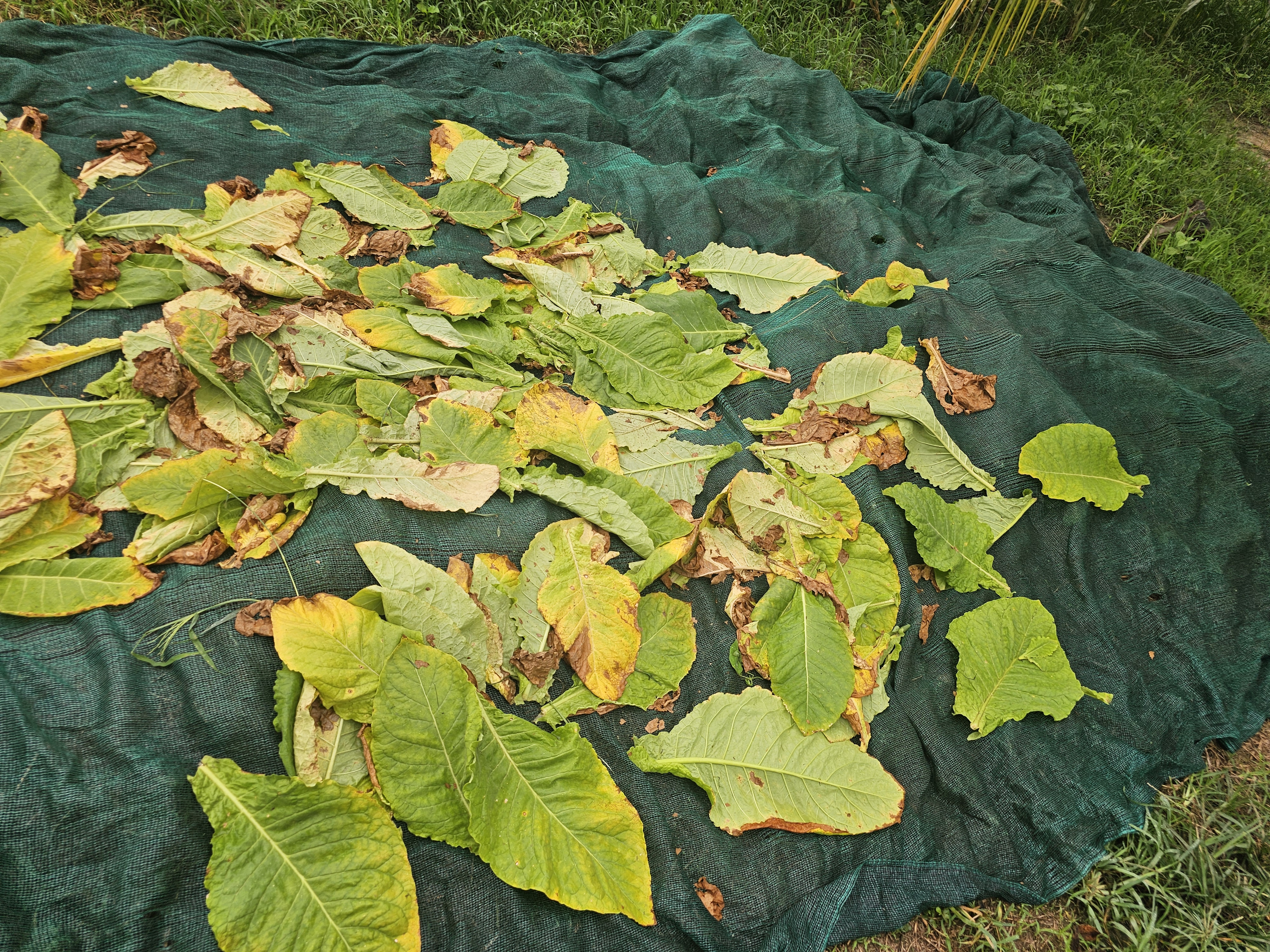 Qué nos hace diferentes