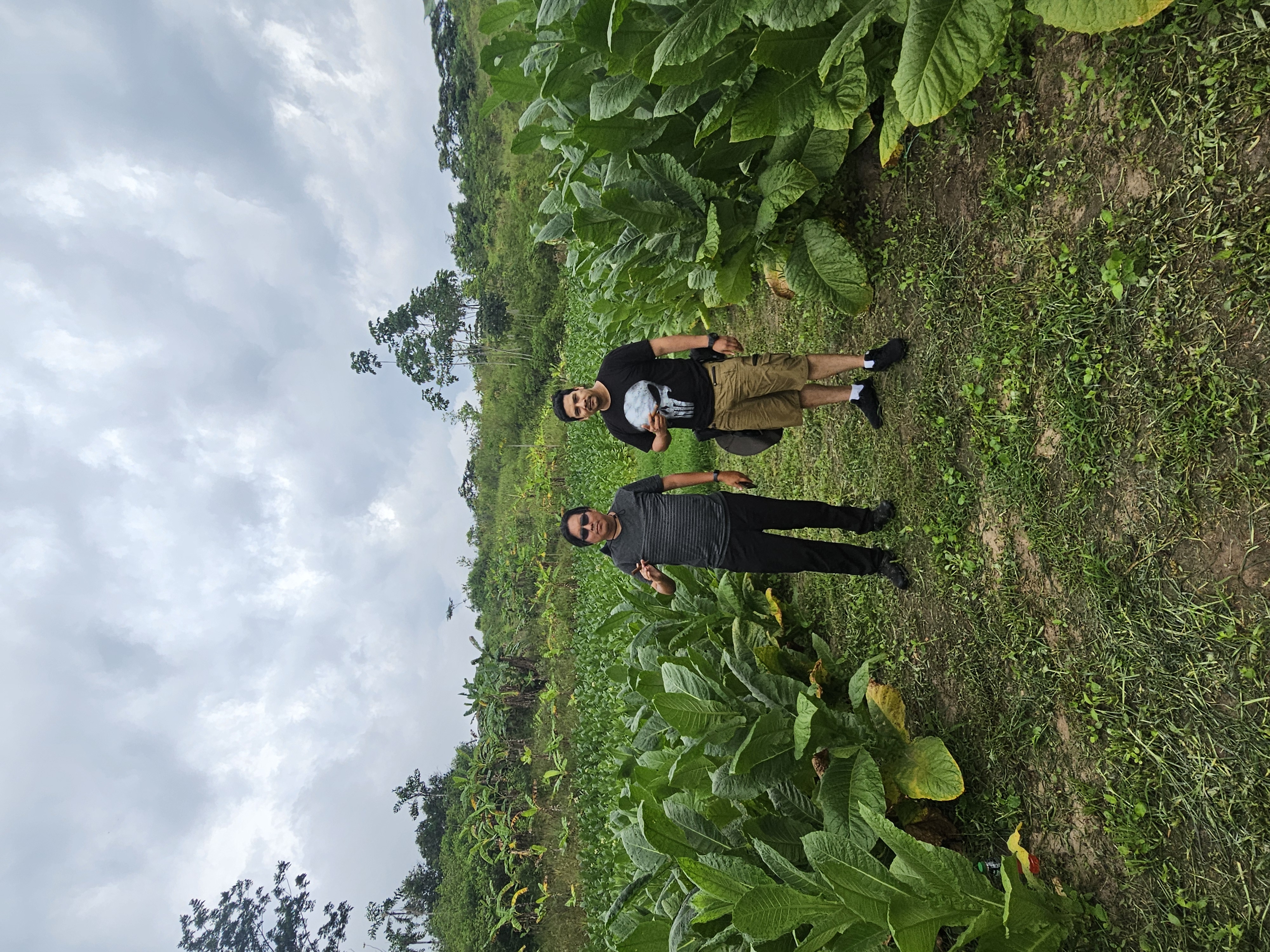 Quiénes somos Dragodara