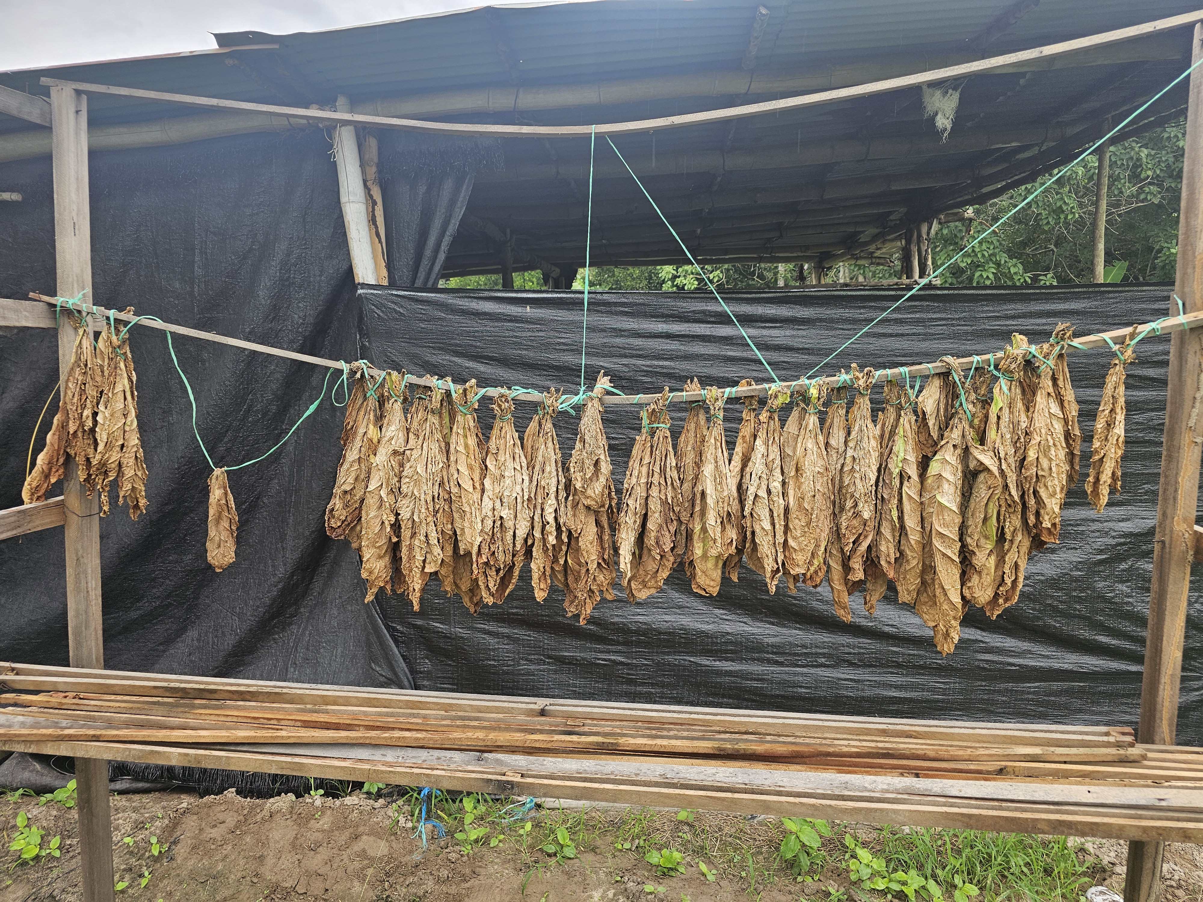 Sostenibilidad Dragodara