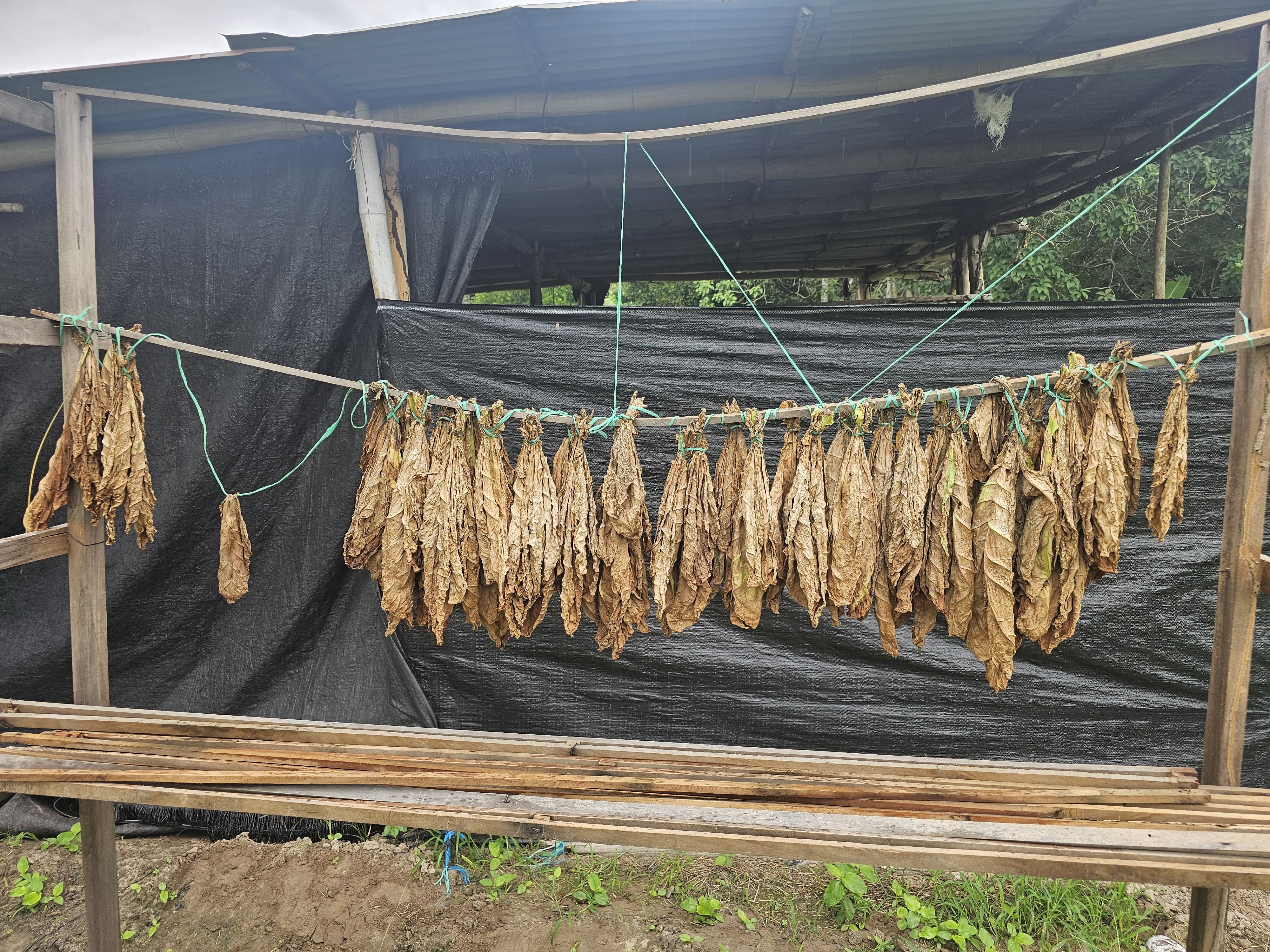 Fermentación Natural